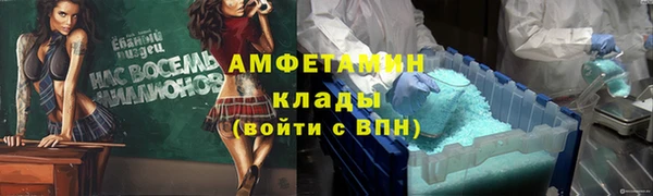 индика Абинск
