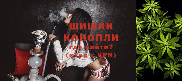 стаф Абаза