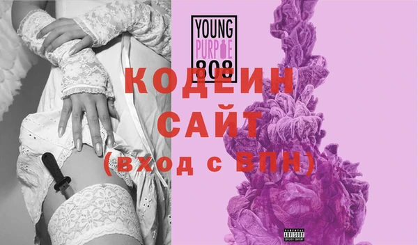 индика Абинск