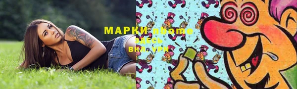 стаф Абаза